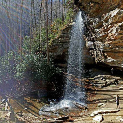 It was a crisp fall day when I talked my wife into taking a hike in Pisgah National Forest. We ended up hiking up to Moore Cove and capturing the grandeur of a simple waterfall over a vast rock cavern. —Vincent Castello, Hendersonville, Rutherford EMC