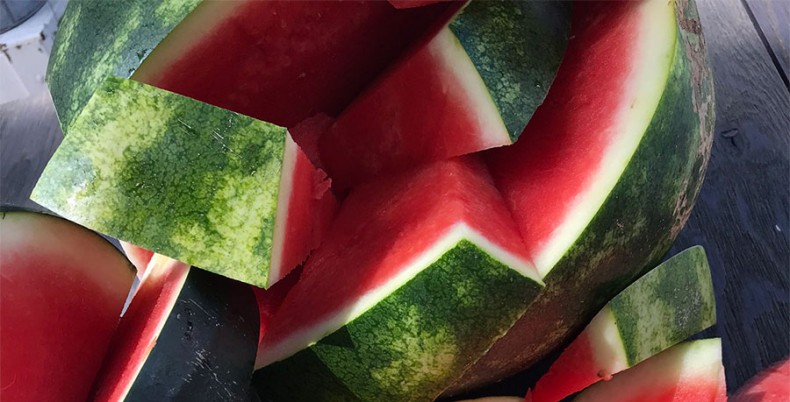 What Makes a Bogue Sound Watermelon So Sweet? - Carolina Country