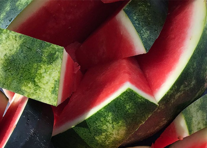 What Makes a Bogue Sound Watermelon So Sweet?
