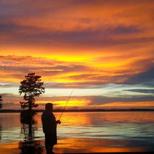 My son Andy Forehand, age 13, loves to fish every chance he can. On this day, the sunset changed several times and I just happened to capture this shot at Tynch town on the Chowan River on the Chowan County side. —Wayne Forehand, Edenton, Albemarle EMC
