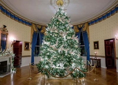 White House Christmas Tree Provided by Blue Ridge Energy Member