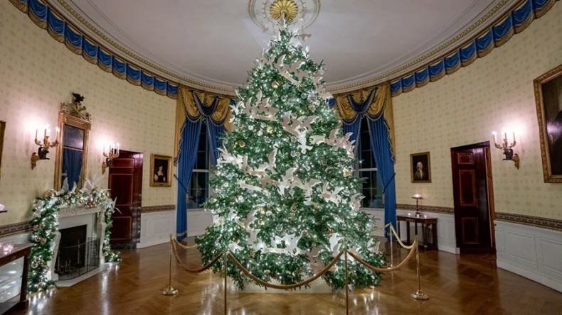 White House Christmas Tree Provided by Blue Ridge Energy Member