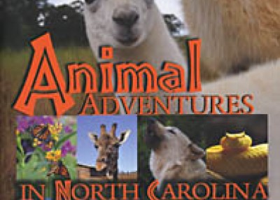 Animal Adventures In North Carolina