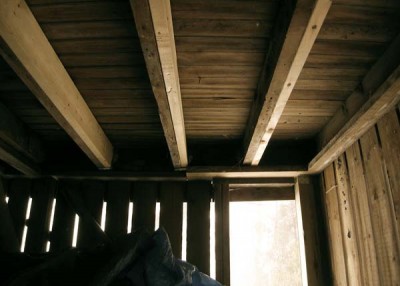 How to handle musty crawlspaces