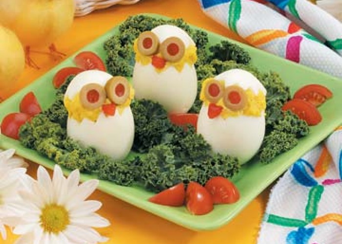 Cute Egg Chicks