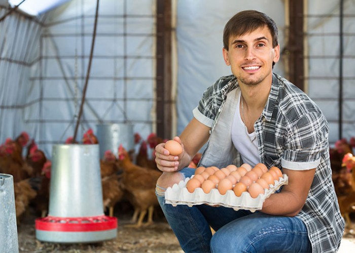 Farmers donate 46 million eggs to food banks