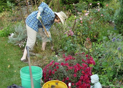 Tips for a Great Garden with Less Work