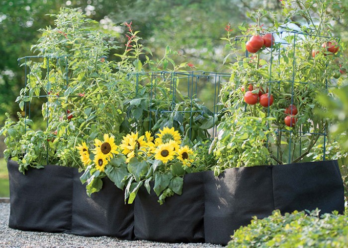 Portable Gardening with Grow Bags