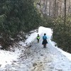 Four Great Winter Hikes