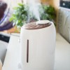Adding Moisture to the Air with Humidifiers