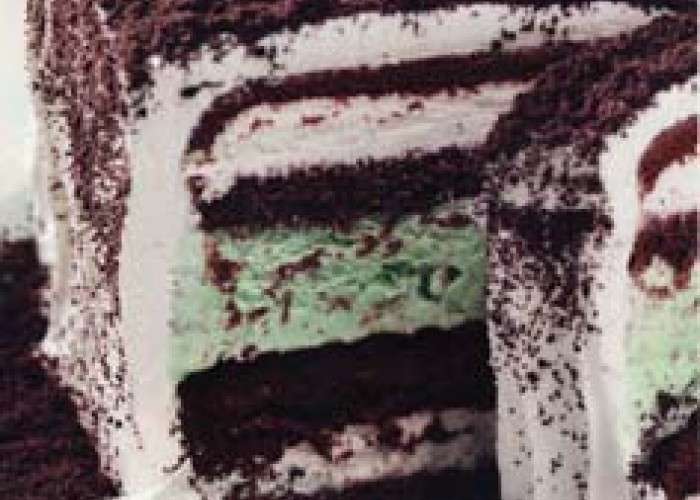 Mint-Chocolate Ice Cream Cake