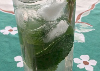 Mint-Lemongrass Cooler