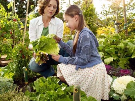 Teach Your Children How To Garden