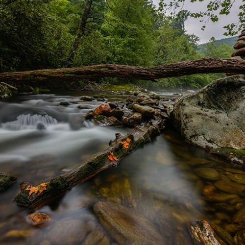 While at Black Mountain Campground in Burnsville, this stack of rocks was the perfect addition to the gentle cascade of water and mossy log. I was born in the mountains and they will always be in my blood. —Stephanie Sheffield, Gastonia, Rutherford EMC