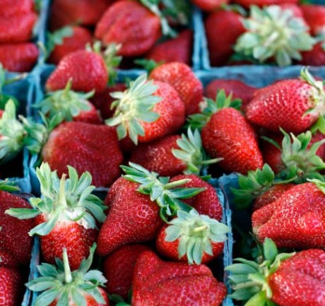 Do you know… NC grows a lot of strawberries? 
