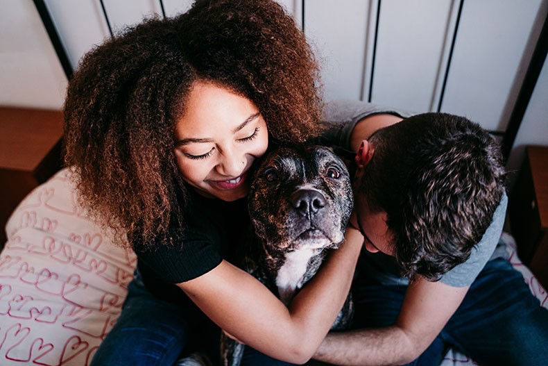 Involve Family in Helping a New Pet Thrive