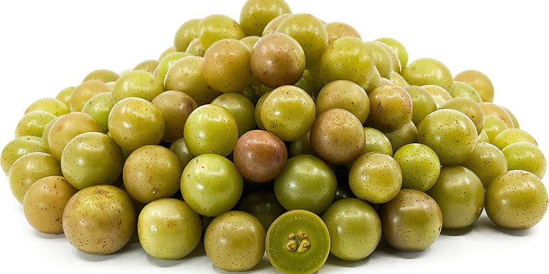 Scuppernong grapes