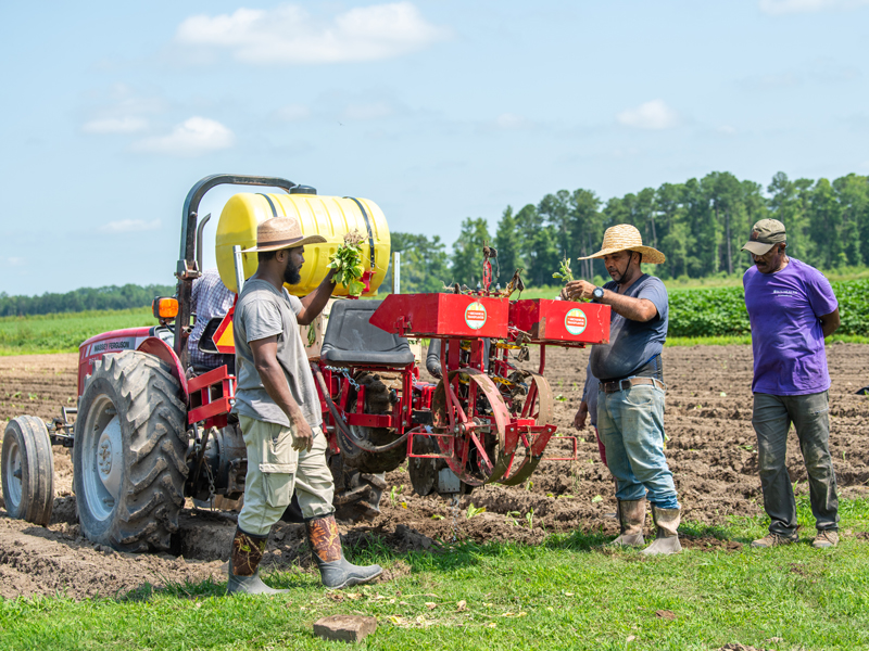 Tractor farming