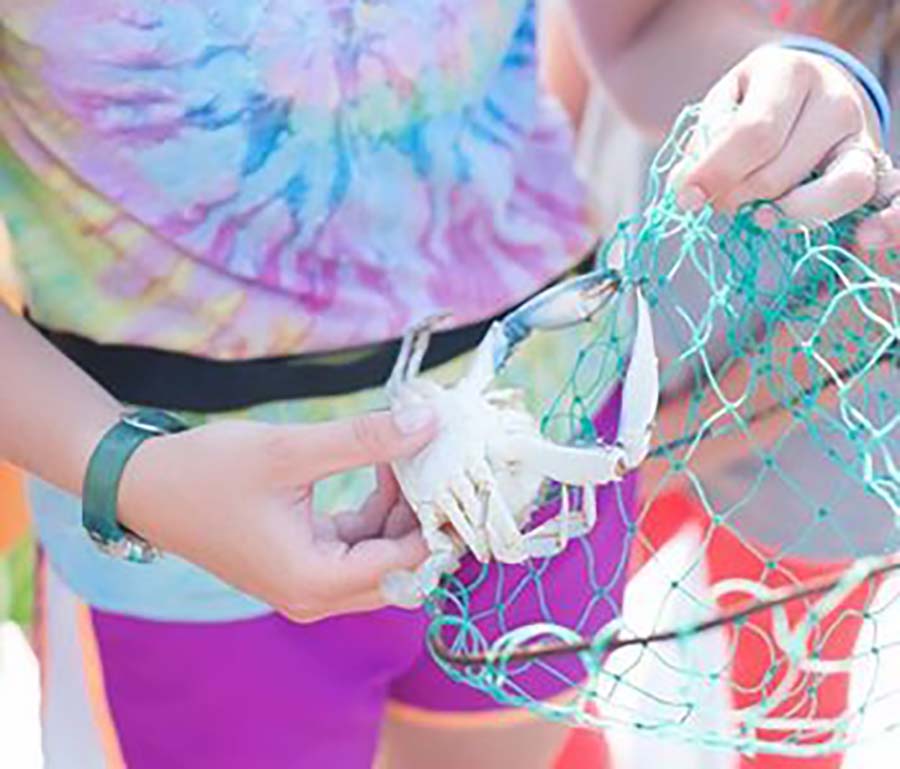 4 H camp crabbing