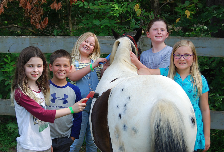 4 H equine kids