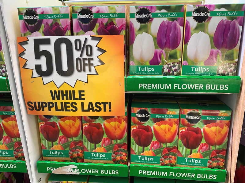 4 bulbs at 50 percent