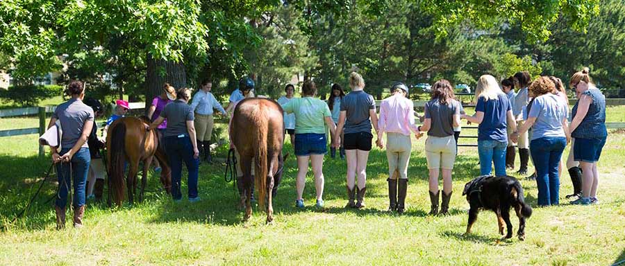 CORRAL Equine Therapy