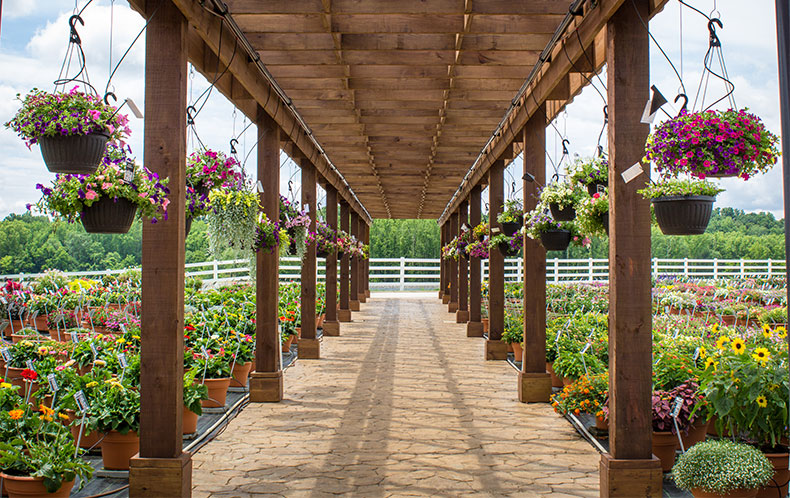 Trial Garden