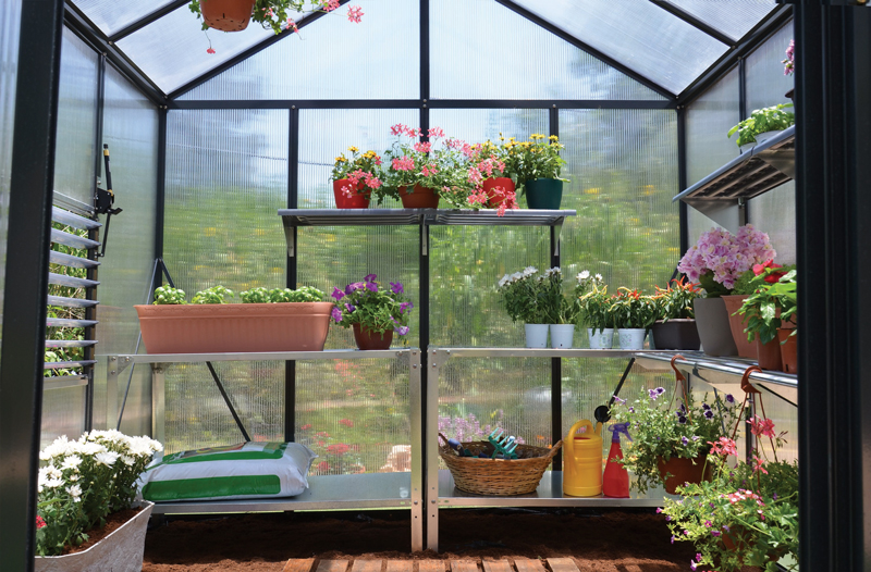 Small Greenhouse