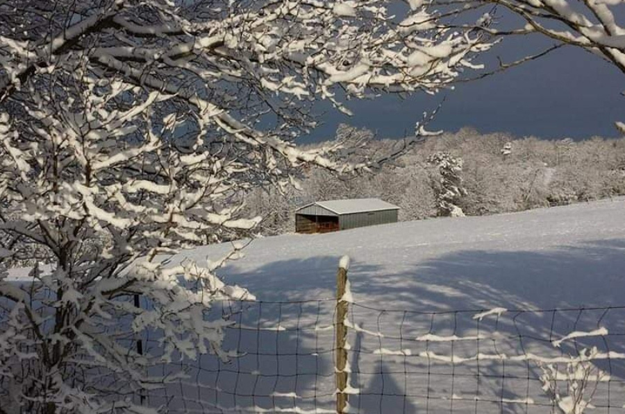 Annie Seaboch 2022 Snow covered Farmland