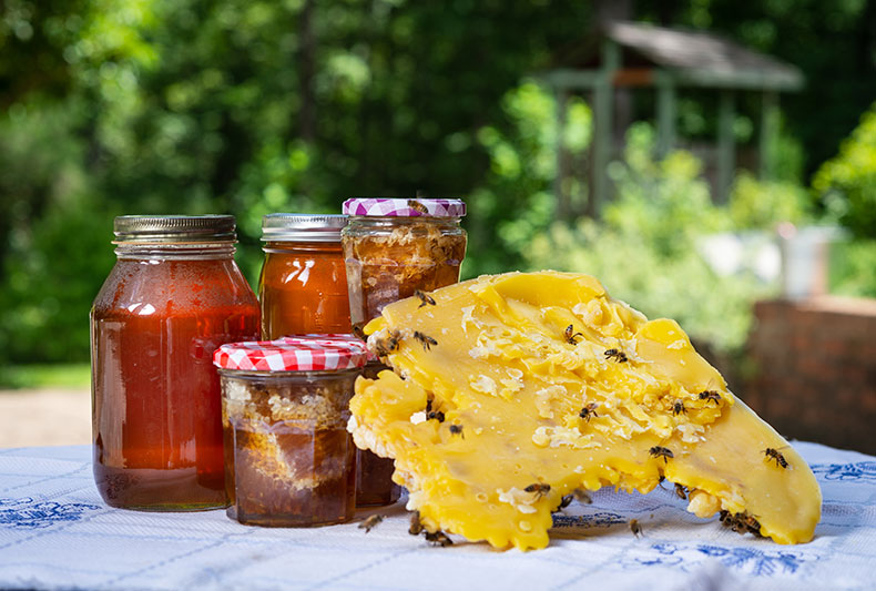 Beeswax and Honey