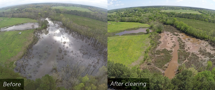 Before and After pasture Beavers