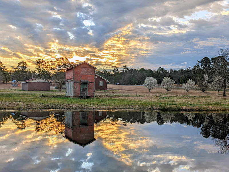 Photo by Betty McIntyre