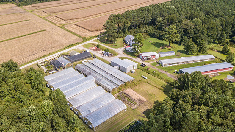 Blacklands aerial