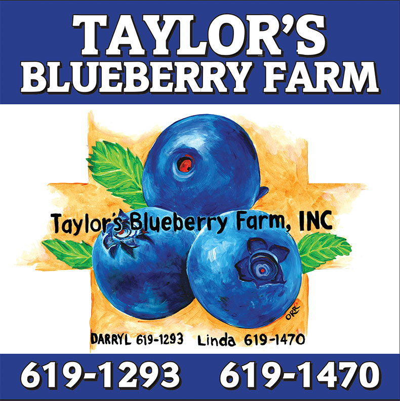 Taylor's Blueberry Farm