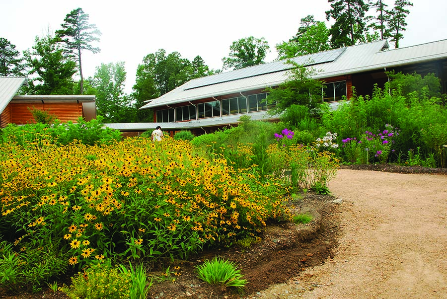 Botanical garden CH 2