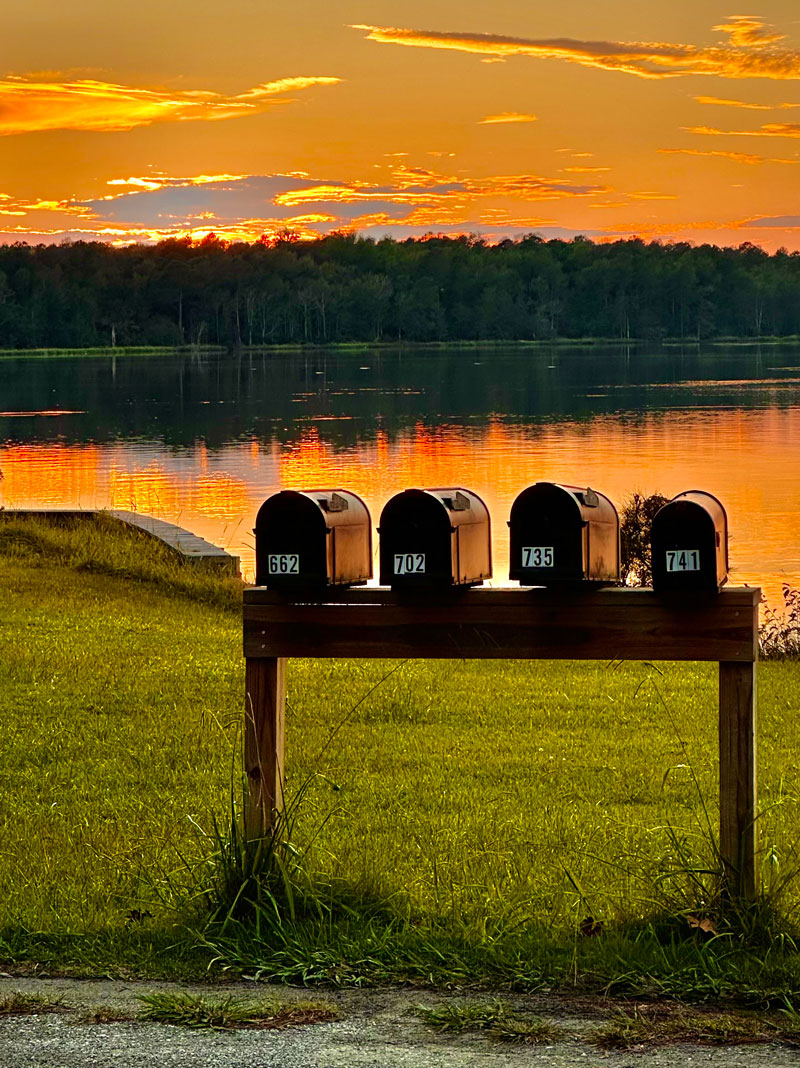 Photo by Brenda Linton