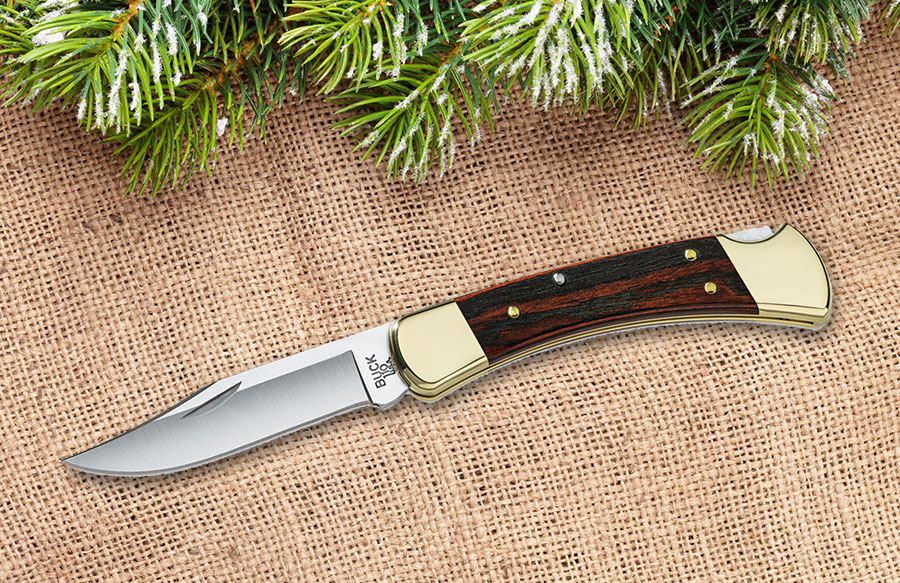 Buck Folding Hunter