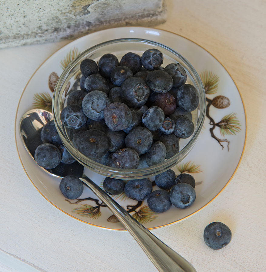 CC Blueberries