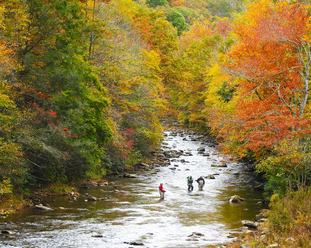 Fishing the Pigeon River - James Bromley