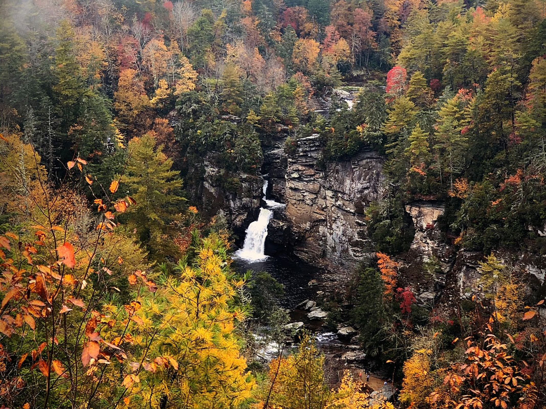 Autumn View of Linville Falls - Lisa Hall