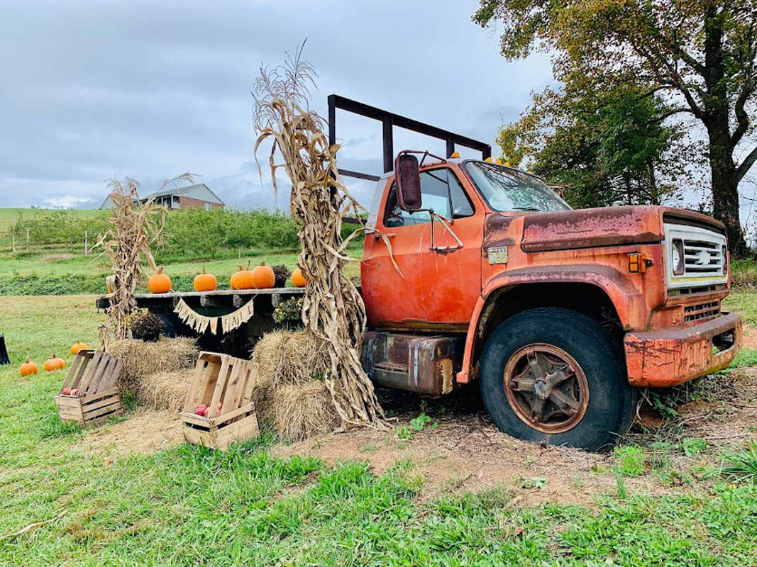 Lisa Marie - Fall Haul
