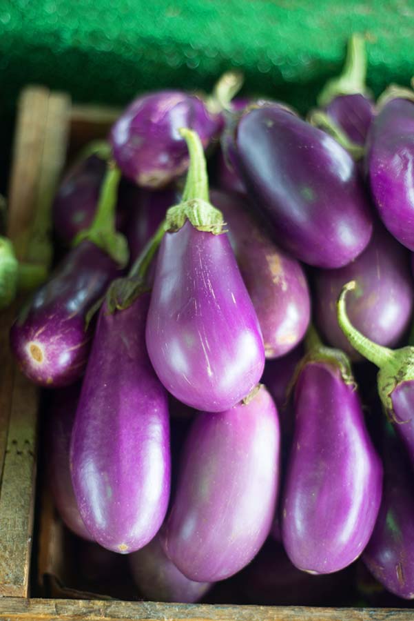 CC Eggplant Neon