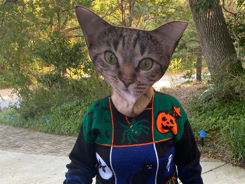 Cat and Mouse - Cara Cox