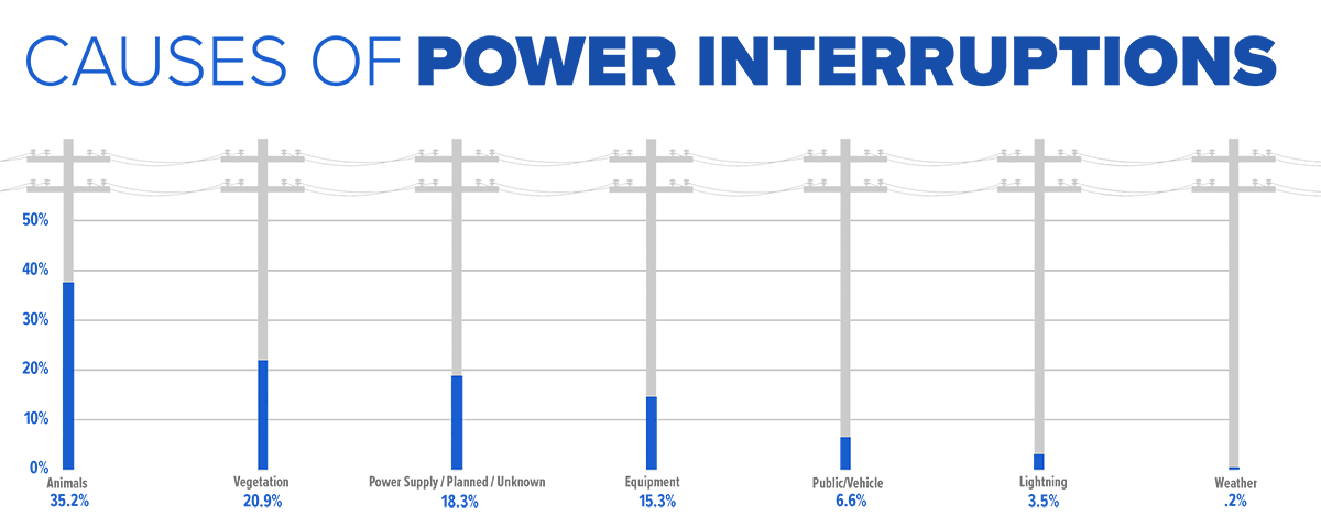 Causes of Power Interruptions
