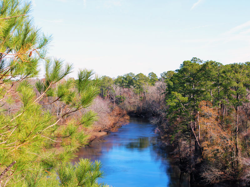 Cliffs Neuse River