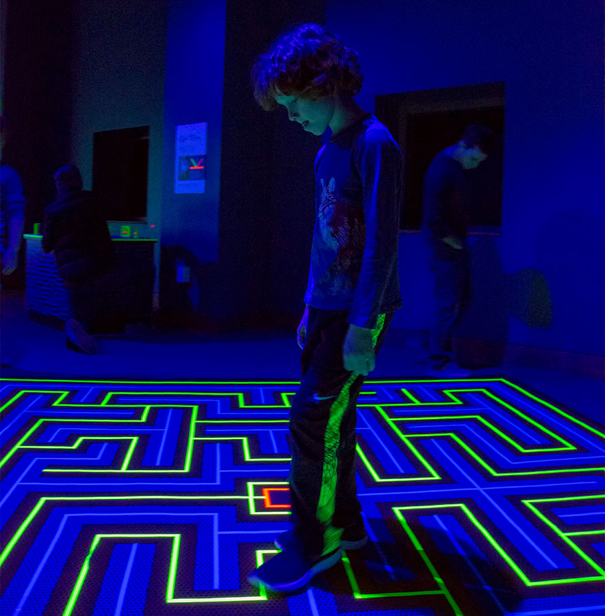 Color Maze NC Museum of Natural Life