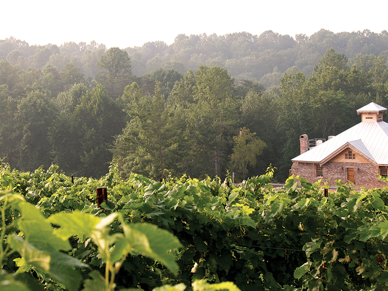 Elkin Creek Vineyard