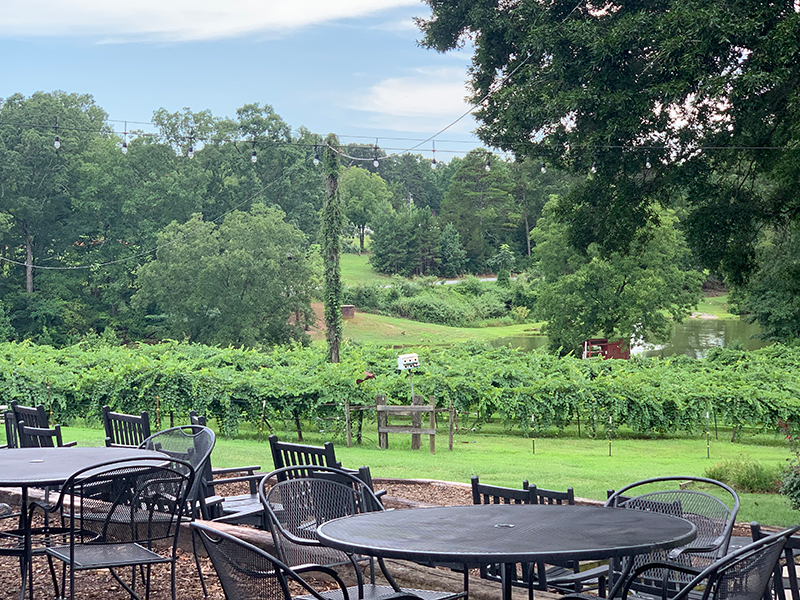 Shelton Vineyards
