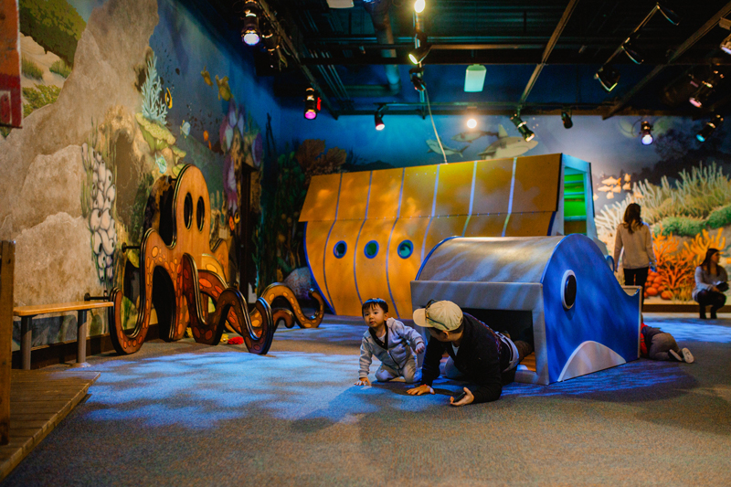 Discovery Place - Huntersville