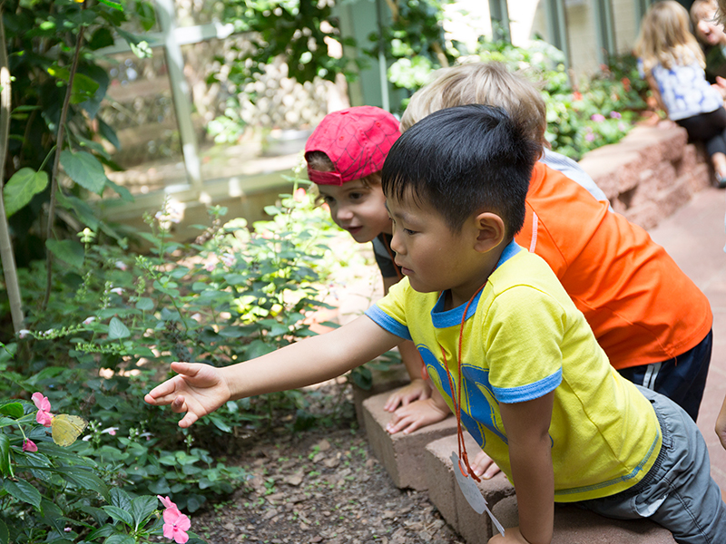 Discovery Place - Nature